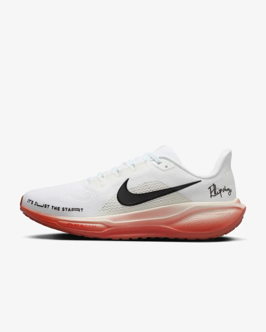 Nike Pegasus 41