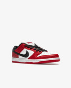 Nike SB Dunk Low Pro