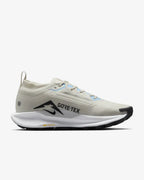 Nike Pegasus Trail 5 Gore-Tex