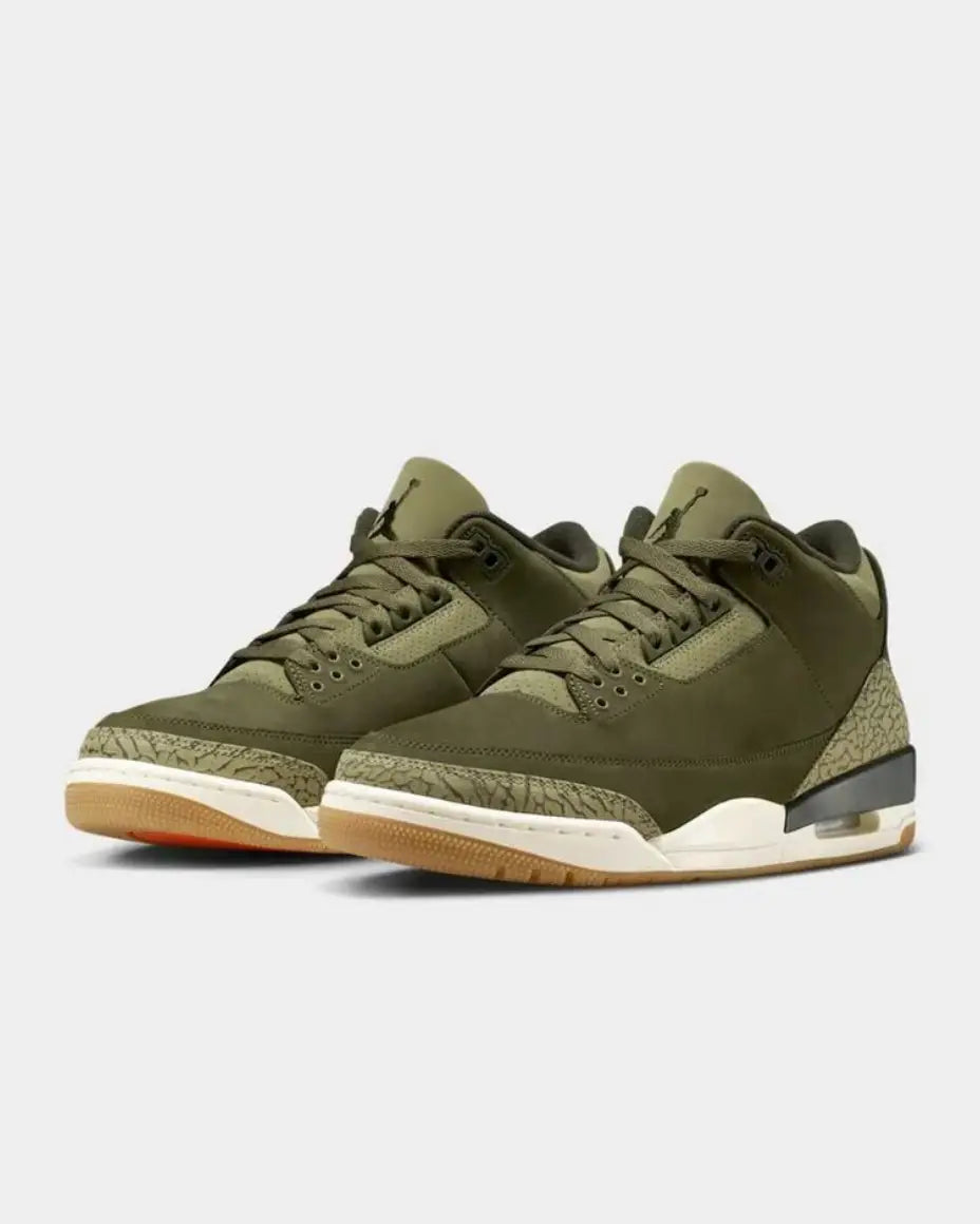 Air Jordan 3 Retro