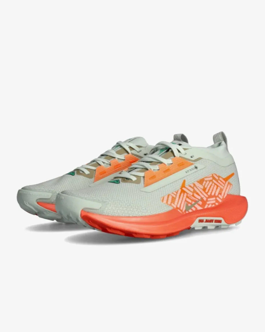 Nike Pegasus Trail 5 Gore-Tex