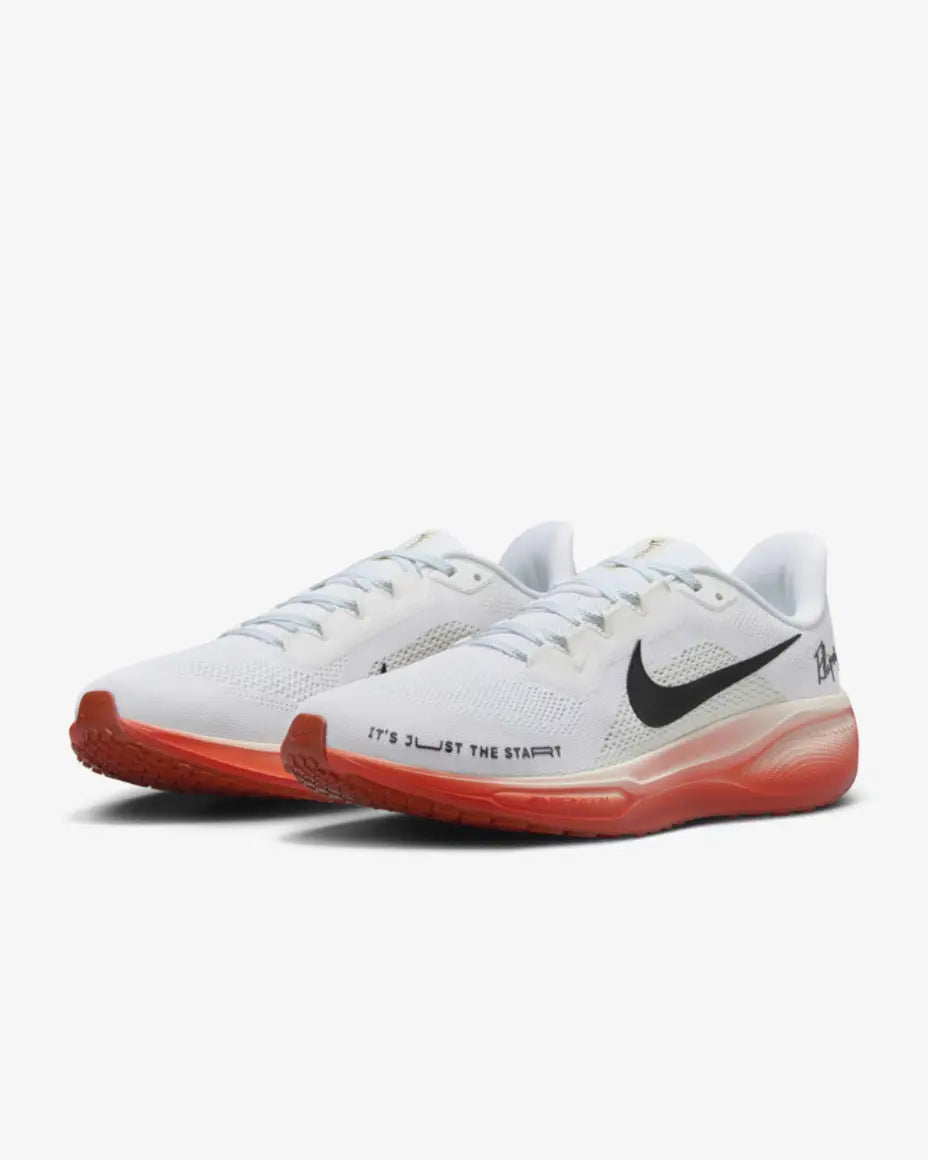 Nike Pegasus 41