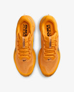 Nike Pegasus Premium LV8