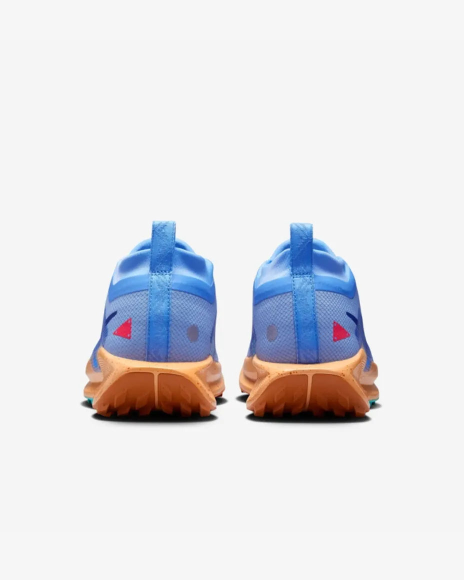 Nike Pegasus Trail 5 GORE-TEX
