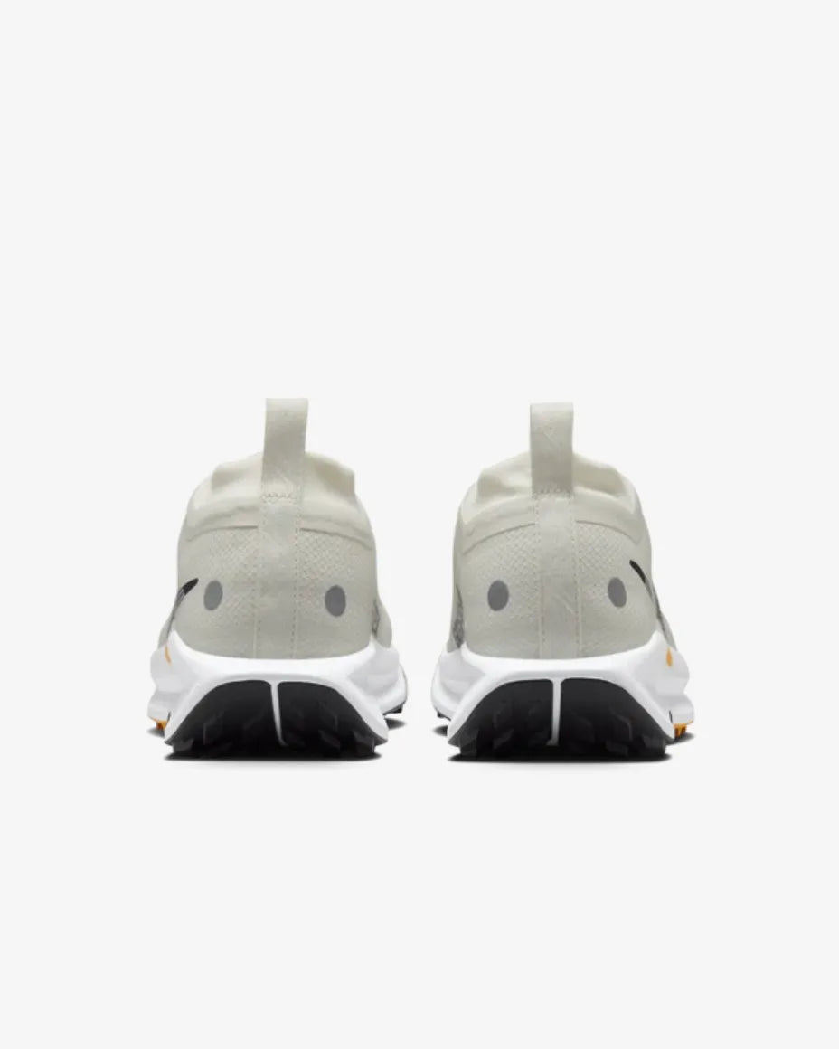 Nike Pegasus Trail 5 Gore-Tex