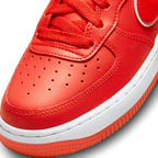Nike Air Force 1 Lebron (W)